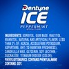 Dentyne Ice Peppermint Sugar Free Gum, 9 Packs of 16