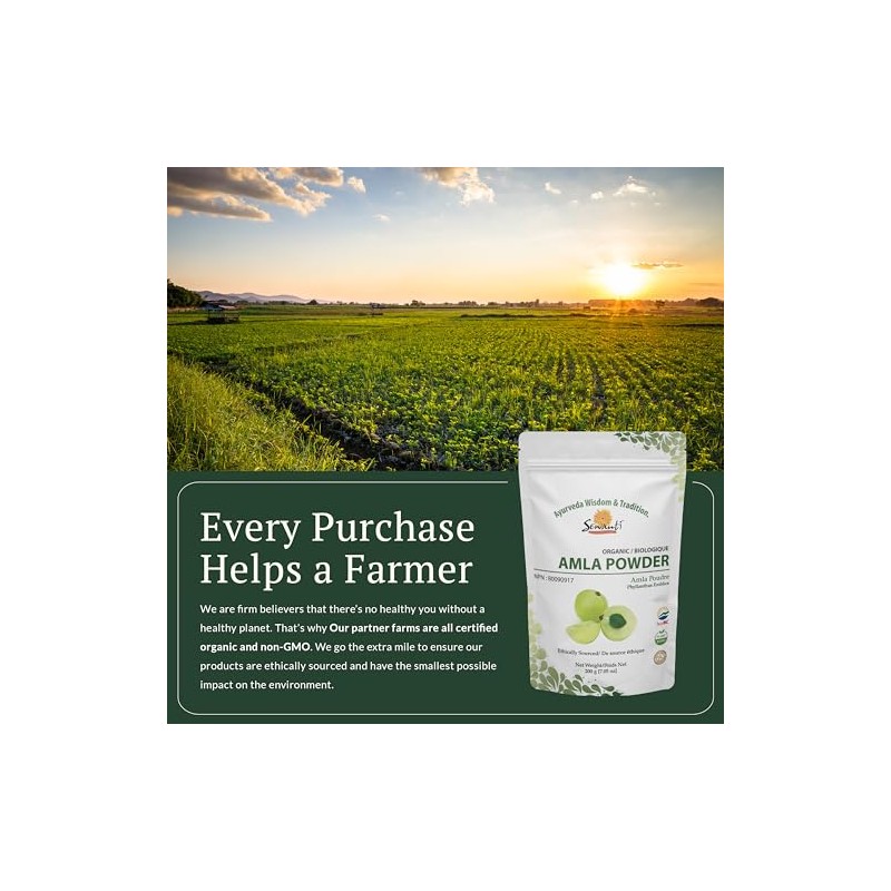 Sewanti Sewanti Organic Amla fruit Powder, NPN 80090917, 200 gram