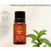 OLEUM VITAE Aceite Esencial de Eucalipto Eucalyptus Globulus 100% Puro