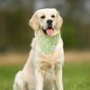 E-Clover Summer Lemon Dog Bandanas & Matching Scrunchie Set Green