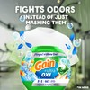 Gain Flings Ultra Oxi Laundry Detergent Pacs, 76 Count, Waterfall