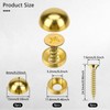 8Pcs Pure Brass Decorative Screws with Caps Mirror Fixing Screw