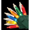 Home Accents Holiday 100 Color-Changing LED Warm White Multi color