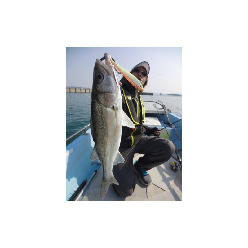 DUEL(デュエル) ミノー ハードコア フィンテールダート 90 90mm HGR ルアー