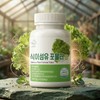 Water-soluble dietary chicory dietary fiber fiber / 수용성 고식 치커리 식이 유정 섬유질 화이바 섬유소