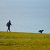 Guiding Star Long Leash for Dogs Outside Long Line Dog