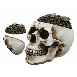 Day of The Dead Gold Coins Dollar Bills Grinning Skull Decorative Stash Box