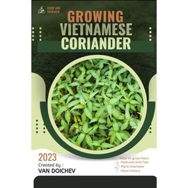 Vietnamese Coriander: Guide and overview