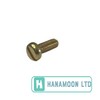 M4 x 10mm Brass Pan Head Machine Screw for Conduit