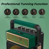JYX Bluetooth PA Speaker System with 2 Wireless Mics, Retro