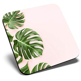 Great Single Coaster Square - Pink Palm Tree Leaves Tropical |Glossy Quality Coasters | Tabletop Protection for Any Table Type #14338