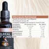 3 Maestros (Cordyceps, Reishi y Melena de Leon) Suplemento en
