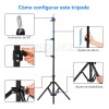 Trípode Para Celular Selfie Stick Bt Control Remoto 170cm