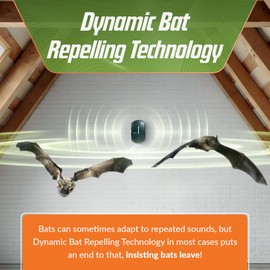 BugWomp BEU-G Bat Expulsion Unit with Dynamic Ultrasonic Bat Repellent Technology (Forest Green Edition)