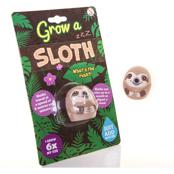 Boxer Gifts Grow a Sloth Toy - Just Add Water | Fun Kids Toys - Children's Sloth Gifts - Boys & Girls Birthday Presents | Small Christmas Stocking Filler Gift Ideas For Children - Pass The Parcel Item