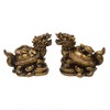 Feng Shui Resin Dragon Turtle Statue Set