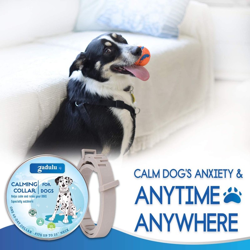 Two Little Fishies STAX by 42 lb