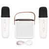 Portable Bluetooth Speaker with 2 Wireless Microphones, RGB Karaoke Machine