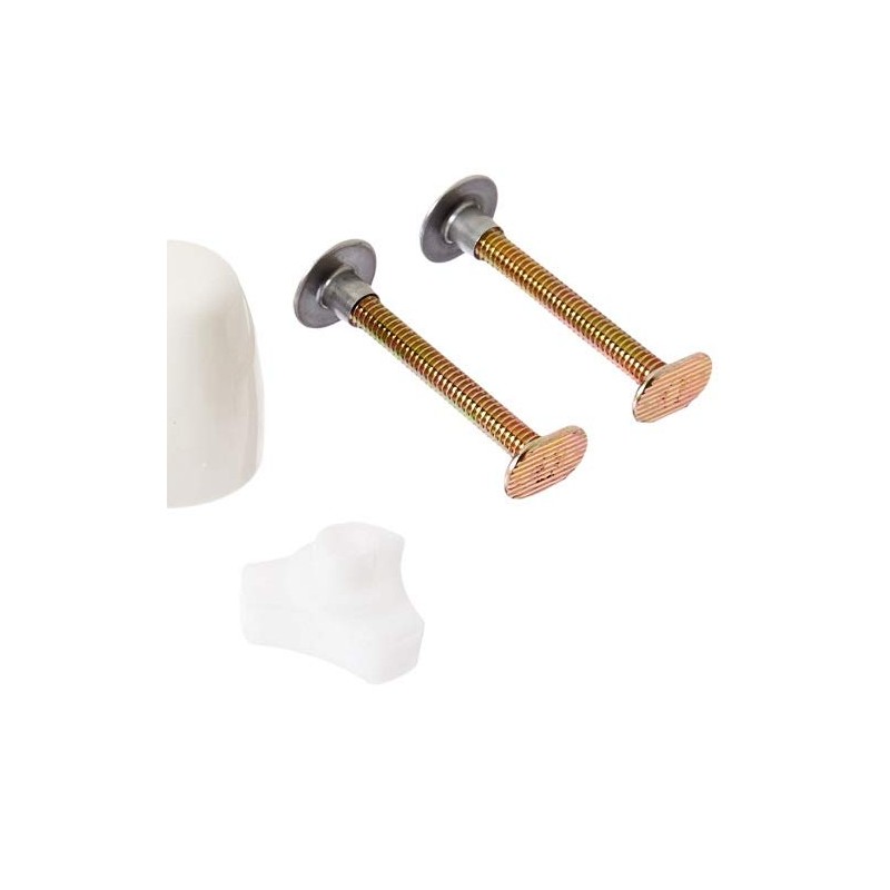 American Standard 7381251-200.0200A EZ-INSTALL BOLT CAP KIT, WHITE White