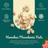 Hamakua Macadamia Nuts - Lightly Salted - Hawaiian Grown Dry