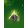 Loyd Fruit Tea Pineapple & Pear Flavored, 20 teabags (Pack