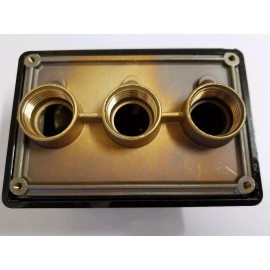 Pentair 78310600 Pentair Junction Box 3 Capacity ¾" Brass Base with Polycarbonate Cover