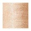 Revlon Photoready Insta-Fix Higlighting Stick, Gold Light, 8.9 gr