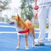 EXCELLENT ELITE SPANKER No Pull Dog Harness Step-in Adjustable Reflective