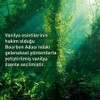 Yves Rocher, Duo de Cremas para Manos Hidratante, Vainilla, Manos
