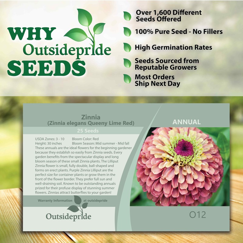 Outsidepride 25 Seeds Annual Zinnia Elegans Queeny Lime Red Flowers