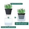 D'vine Dev 4 Inch Design Self Watering Planter for Indoor