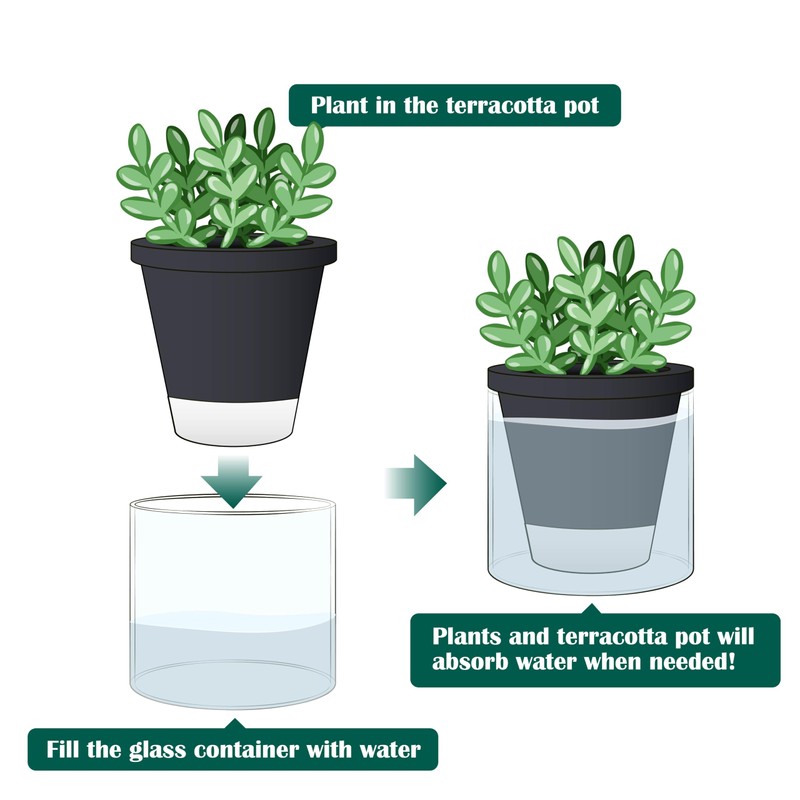 D'vine Dev 4 Inch Design Self Watering Planter for Indoor