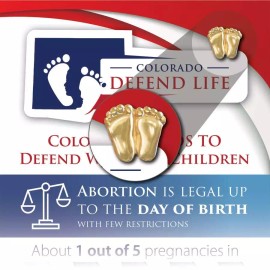 Heritage House '76 Precious Feet, Gold-Colored, Colorado Stats Card Jewelry, Lapel Pin