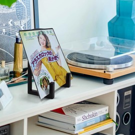 MayRecords Vinyl Record Storage Holder Vinyl Record Storage Stand Display Black Metal Album Frames for Lp Display Holds any Size Records