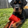 Fenrir Hammer Dog Chew Toy Strong Rubber Stuffable Enrichment Toy
