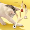 SAIIURV 9 Pieces Cat Bouncy Ball With Feather Cat Toys