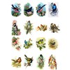 Decoupage Paper Pack (10sheets A4 / 8"x12") Beautiful Birds FLONZ