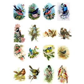 Decoupage Paper Pack (10sheets A4 / 8"x12") Beautiful Birds FLONZ Vintage Paper