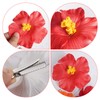 4 Pcs Hawaiian Flower Hair Clips for Women Plumeria Hibiscus
