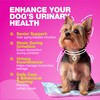 Dog UTI Treatment - Dog Cranberry Supplement for Bladder &