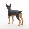 Conversation Concepts Miniature Pinscher, Black and Tan Figurine