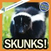 Skunks!: A My Incredible World Picture Book