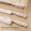 Astercook Knife Set, Kitchen Knife Set with Block and Sharpener,