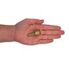 SKIR'CO Male Thread Barb Brass Fitting 1/2 Inch x 10