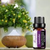 Lavender Essential Oil Sets for Clear The Air for Diffuser