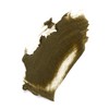 L'Oreal Paris Color Riche Lipstick Balmain Limited Edition 905 Balmain