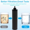 Water Filters Replacement for Berkey, 4 Pack Black Purification Elements