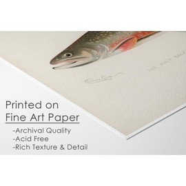 DREAM BIG PRINTABLES Vintage Fish Wall Art Prints (Set of 6) - Unframed - 11x14s | Fishing Décor | Vintage Decor | Kitchen Wall Art | Kitchen Wall Decor