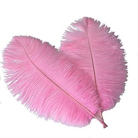 Sowder 8-10inch(20-25cm) Ostrich Feathers Plume for Wedding Centerpieces Home Decoration Pack of 10pcs(Pink)