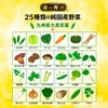 NIHON YAKKEN Golden Blue Juice (R), 25 Types of Pure